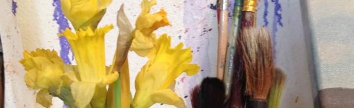 Daffodil January Daffodil January